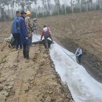 臺(tái)州水泥毯廠家,人工湖15公斤針刺復(fù)合水泥毯