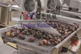 海南LXBXGQP-5百香果果汁加工設(shè)備廠家