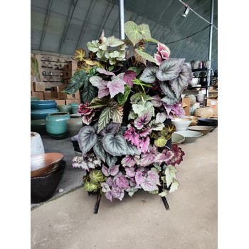 烏魯木齊市陽(yáng)臺(tái)、陽(yáng)光房生態(tài)植物綠植墻面工廠