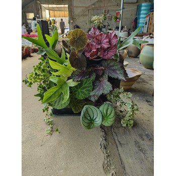沈陽(yáng)市立體綠化綠植植物景墻廠家