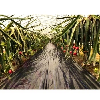 上海防草布報價及圖片,酒泉塑料防草布廠家透水透氣