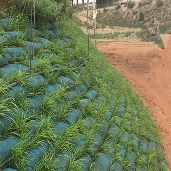 寧夏供應生態(tài)袋,40*80生態(tài)袋工程量計算