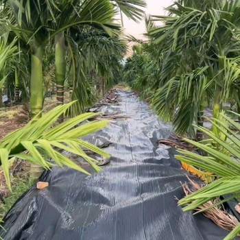 云南防草布報(bào)價(jià)及圖片,防草布批發(fā)廠家除草地布