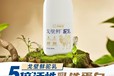 戈壁鮮駝乳針對(duì)人群,英格蘇戈壁鮮駝乳價(jià)格