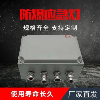不銹鋼振磊防爆電氣防爆照明箱