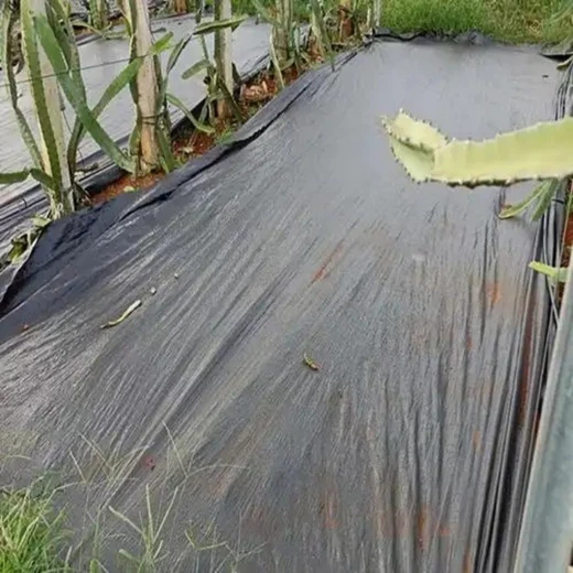 雅安防草布生產(chǎn)廠家柑橘果樹(shù)防草布果園農(nóng)業(yè)