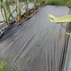 除草布圖