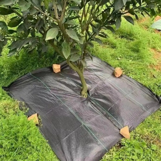 云南防草布報價及圖片,防草布一畝大約費用透水透氣