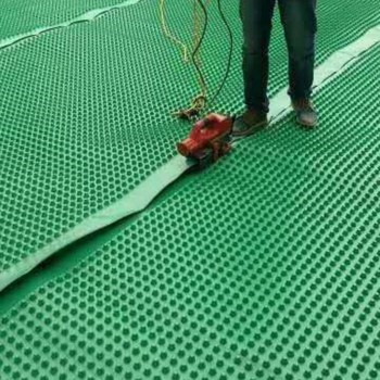 新疆供應排水板,樓頂花園排水板主要用在哪里