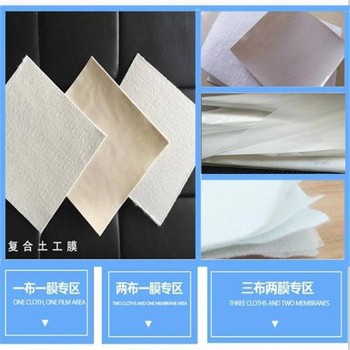 杭州900克FN2兩布一膜復(fù)合土工膜廠家