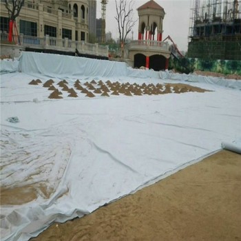 西安700克FN2兩布一膜土工布價(jià)格