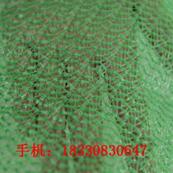 興安盟新款蓋土網(wǎng),聚丙烯蓋土網(wǎng)規(guī)格尺寸