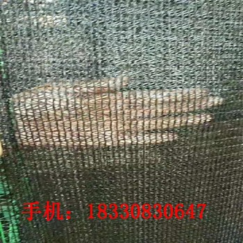 呼倫貝爾供應(yīng)蓋土網(wǎng),聚丙烯蓋土網(wǎng)定制價(jià)格