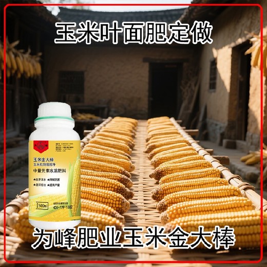 玉米高產(chǎn)金大棒哪個廠家好,金大棒玉米肥廠家電話