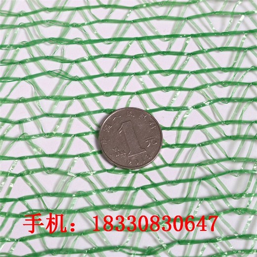 隨州蓋土網(wǎng),0.8米蓋土網(wǎng)報價