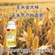 玉米高產(chǎn)金大棒哪個廠家好,金大棒玉米肥廠家電話產(chǎn)品圖
