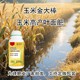 玉米金大棒使用方法圖