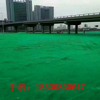 資陽(yáng)新款蓋土網(wǎng),0.8米蓋土網(wǎng)廠家