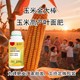 玉米葉面肥金大棒廠家電話圖