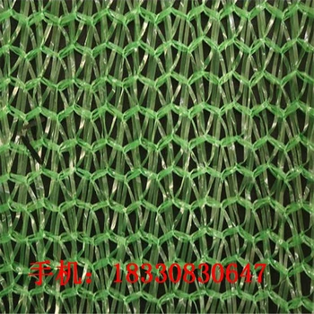 塘沽供應(yīng)蓋土網(wǎng),聚丙烯蓋土網(wǎng)廠家