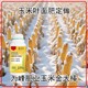 苞米高產(chǎn)金大棒招商圖