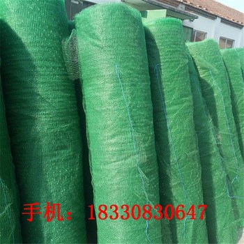 鶴壁新款蓋土網(wǎng),聚丙烯蓋土網(wǎng)規(guī)格尺寸