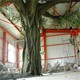 呼和浩特土默特左旗小型人造餐廳仿真樹-承接假樹工程13年產(chǎn)品圖