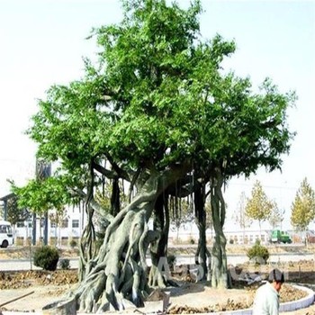 濟寧汶上縣生態園人造仿真桃花樹制作廠家-假樹施工隊