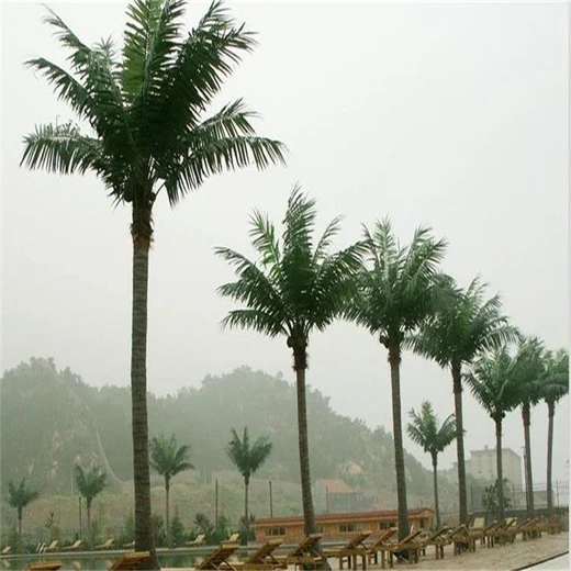 邢臺巨鹿縣大型水泥人造假樹-假樹施工隊-上門安裝