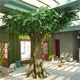 運城垣曲縣大型餐廳仿真樹制作廠家-承接假樹工程13年圖