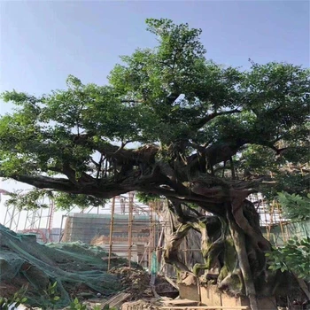 煙臺棲霞市室內(nèi)人造仿真桃花樹制作廠家-假樹施工隊(duì)