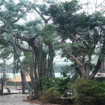 邢臺(tái)新河縣大型餐廳仿真樹制作廠家-承接假樹工程13年