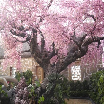 張家口懷安縣水泥仿真桃花樹制作廠家-假樹施工隊