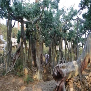 包頭土默特右旗餐廳仿真樹(shù)制作廠家-承接假樹(shù)工程13年