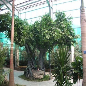 濟(jì)寧微山縣水泥仿真桃花樹制作廠家-假樹施工隊(duì)
