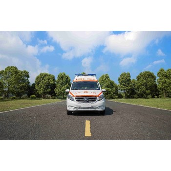 奔馳梅德賽斯威霆轉(zhuǎn)運(yùn)車廠家銷售