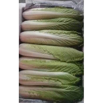 東莞厚街鎮(zhèn)蔬菜糧油配送價格表