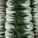 沙井共和同城食材配送價格