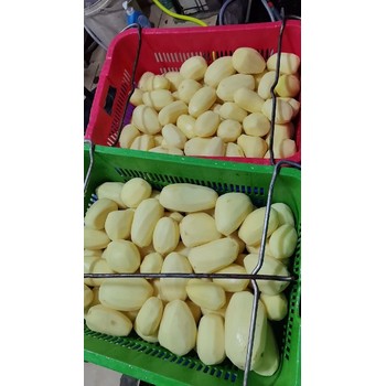東莞厚街鎮(zhèn)蔬菜糧油配送價格表