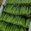龍華區(qū)生鮮配送價(jià)格