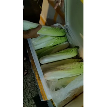 福永鳳凰蔬菜糧油配送聯(lián)系方式