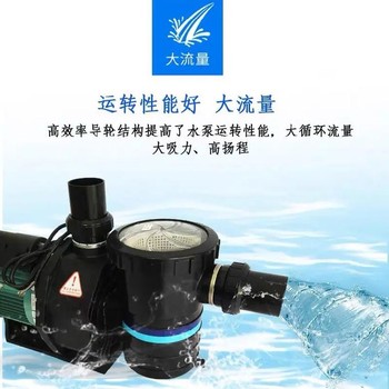 梧州泳池循環(huán)水泵廠家