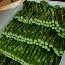 東莞黃江鎮(zhèn)農(nóng)產(chǎn)品食材配送電話