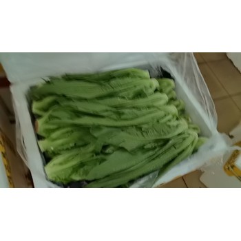 龍華民治農(nóng)產(chǎn)品蔬菜糧油配送公司