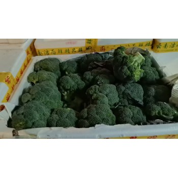 南山區(qū)同城蔬菜配送電話