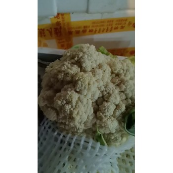 東莞厚街鎮(zhèn)蔬菜糧油配送價格表