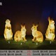 擺件圖