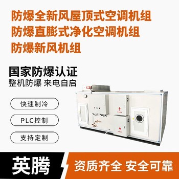 英騰乙烷倉庫防爆工業渦旋屋頂式空調機組