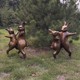 擺件圖