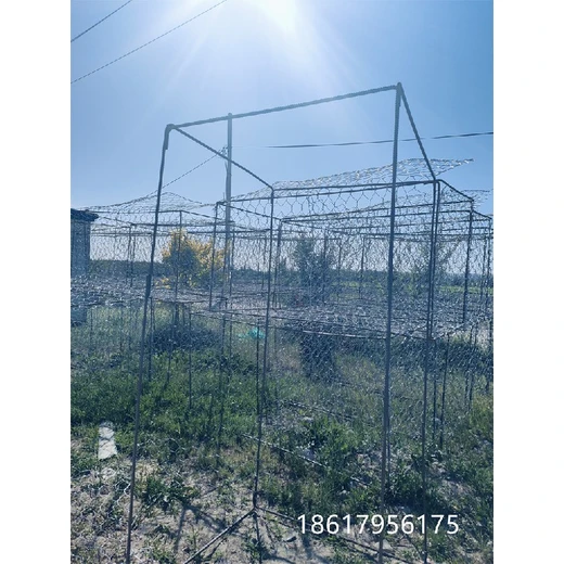 白山鍍鋅包塑400絲鉛絲網卷